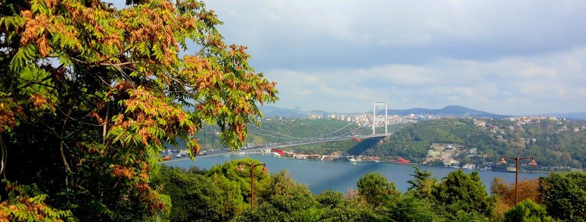 Istanbul,Marmara Region,Türkiye 13.jpg