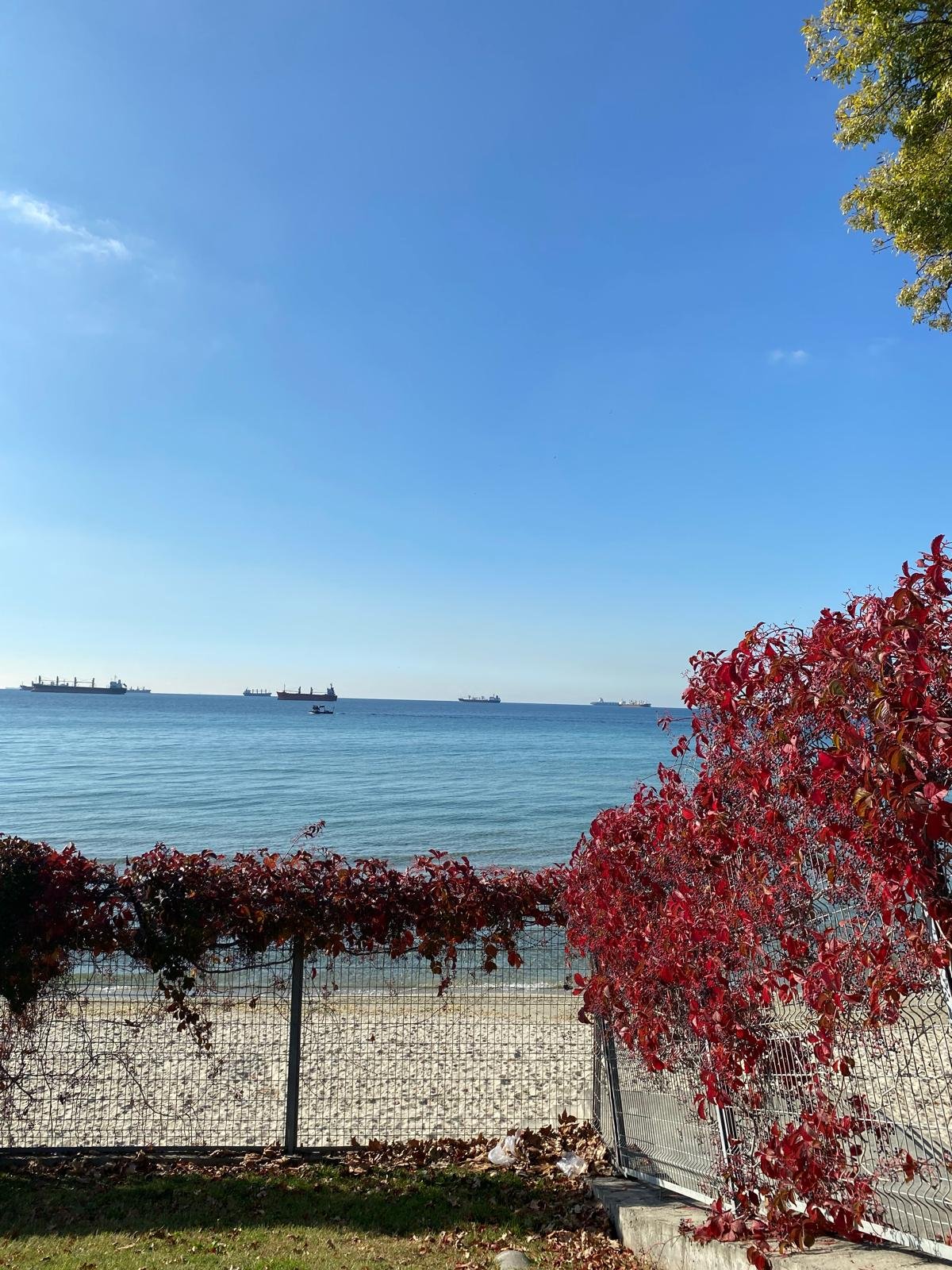 Istanbul,Marmara Region,Türkiye 9.jpeg