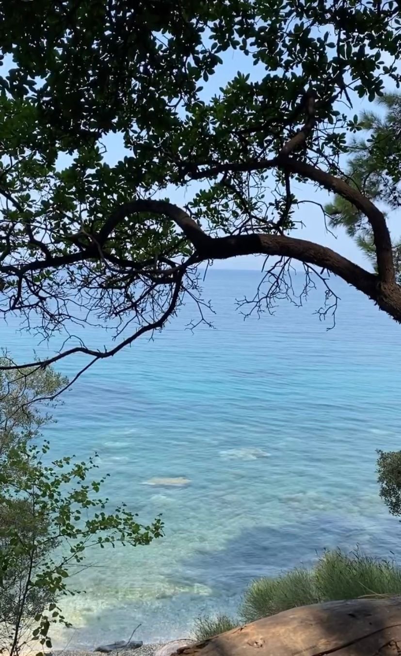 Kuşadası,Aegean Region,Türkiye 2.jpeg