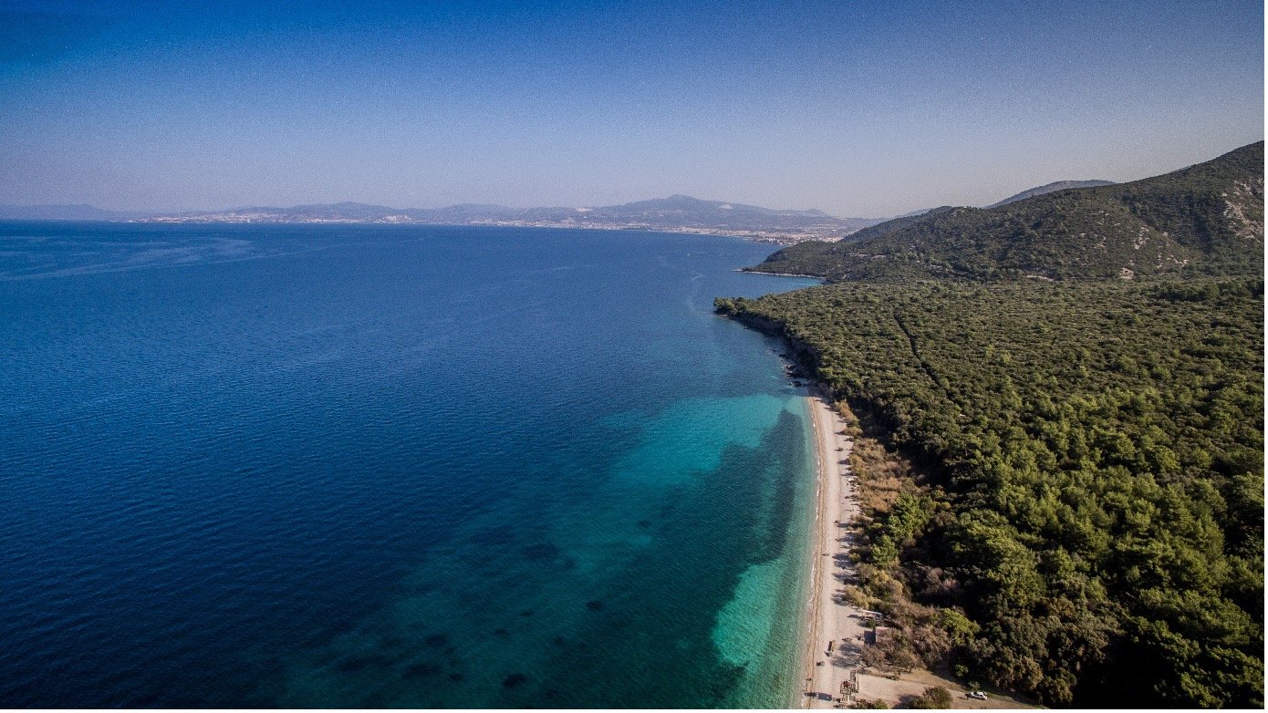 Kuşadası,Aegean Region,Türkiye 6.jpg