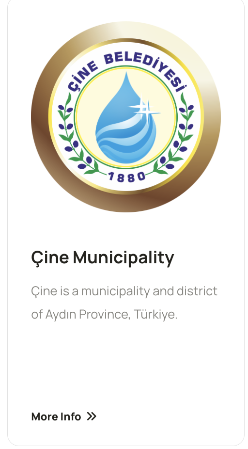 çİNE.LOGO.png