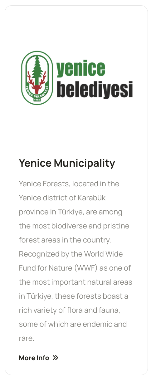 yenice municipality.png