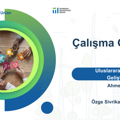 Uluslararası İşbirliği, Proje Geliştirme ve Finans Çalışma Grubu WG2 (ICPDF-WG) Toplantısı