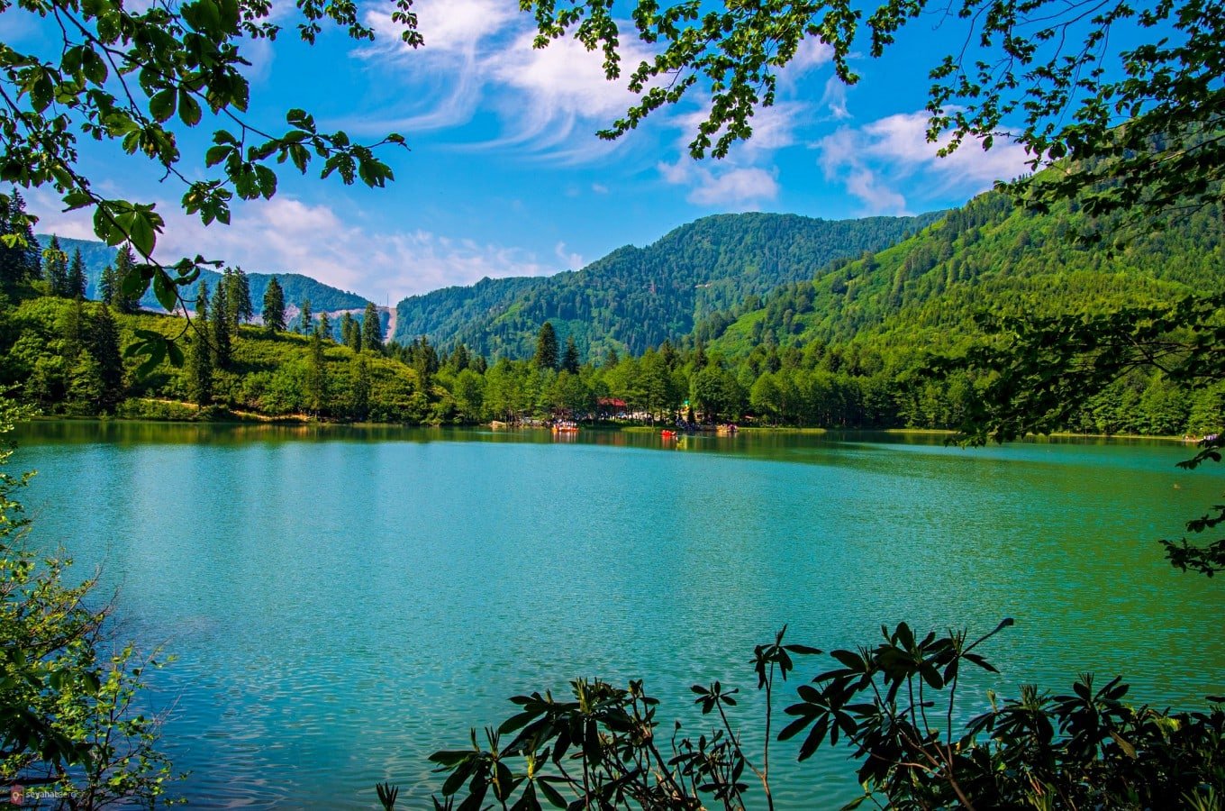Artvin,Blacksea Region,Türkiye.jpeg