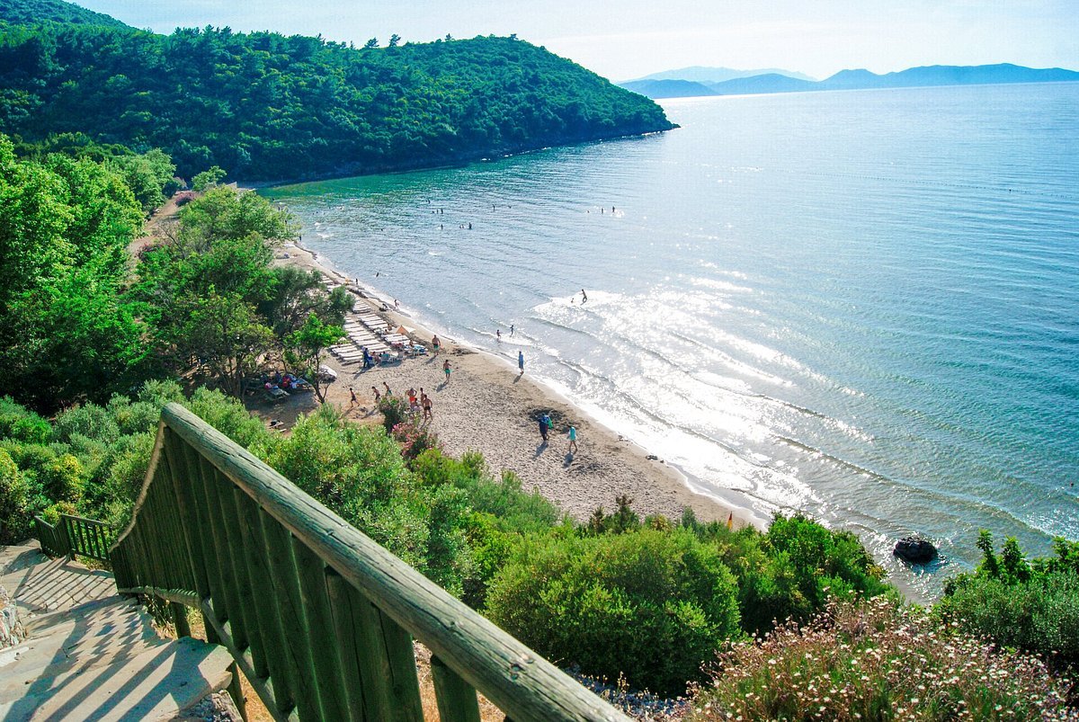 Aydın,Aegean Region,Türkiye 2.jpg